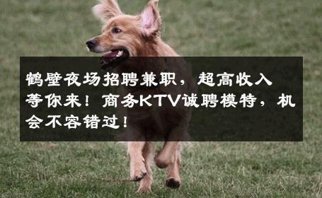鹤壁夜场招聘兼职，超高收入等你来！商务KTV诚聘模特，机会不容错过！