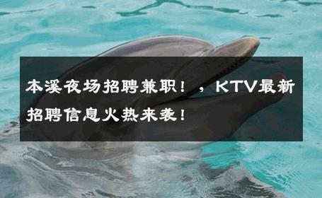 本溪夜场招聘兼职！，KTV最新招聘信息火热来袭！