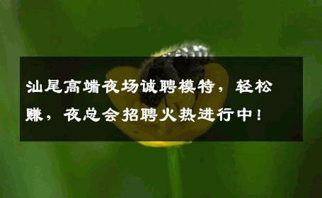 汕尾高端夜场诚聘模特，轻松赚，夜总会招聘火热进行中！