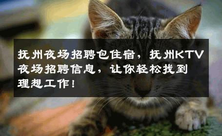 抚州夜场招聘包住宿，抚州KTV夜场招聘信息，让你轻松找到理想工作！