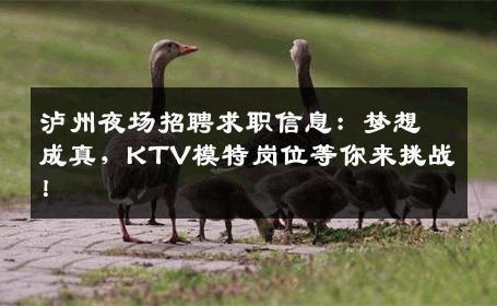 泸州夜场招聘求职信息：梦想成真，KTV模特岗位等你来挑战！