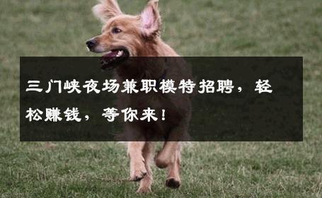 三门峡夜场兼职模特招聘，轻松赚钱，等你来！