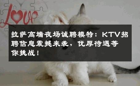 拉萨高端夜场诚聘模特：KTV招聘信息震撼来袭，优厚待遇等你挑战！