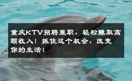 重庆KTV招聘兼职，轻松赚取高额收入！抓住这个机会，改变你的生活！