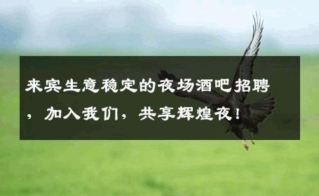 来宾生意稳定的夜场酒吧招聘，加入我们，共享辉煌夜！