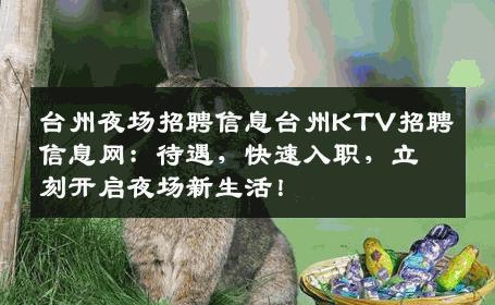 台州夜场招聘信息台州KTV招聘信息网：待遇，快速入职，立刻开启夜场新生活！