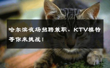 哈尔滨夜场招聘兼职，KTV模特等你来挑战！