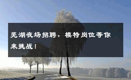 芜湖夜场招聘，模特岗位等你来挑战！