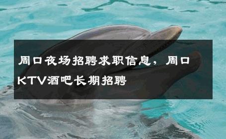 周口夜场招聘求职信息，周口KTV酒吧长期招聘