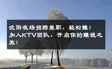 沈阳夜场招聘兼职，轻松赚！加入KTV团队，开启你的赚钱之旅！