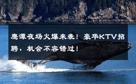 鹰潭夜场火爆来袭！豪华KTV招聘，机会不容错过！