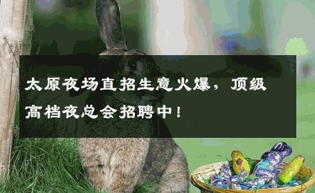 太原夜场直招生意火爆，顶级高档夜总会招聘中！