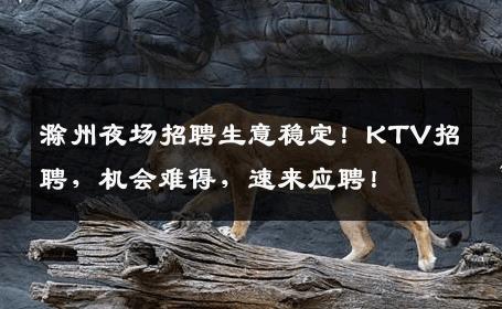 滁州夜场招聘生意稳定！KTV招聘，机会难得，速来应聘！