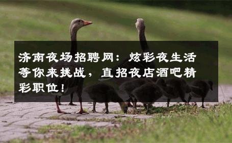 济南夜场招聘网：炫彩夜生活等你来挑战，直招夜店酒吧精彩职位！