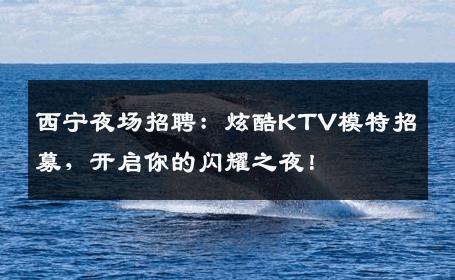 西宁夜场招聘：炫酷KTV模特招募，开启你的闪耀之夜！