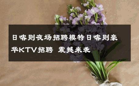 日喀则夜场招聘模特日喀则豪华KTV招聘 震撼来袭
