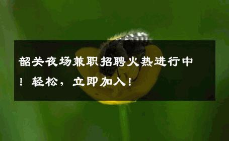 韶关夜场兼职招聘火热进行中！轻松，立即加入！