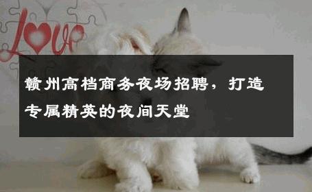 赣州高档商务夜场招聘，打造专属精英的夜间天堂