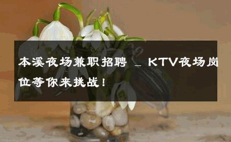 本溪夜场兼职招聘 _ KTV夜场岗位等你来挑战！