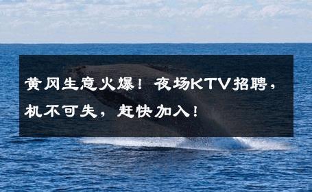 黄冈生意火爆！夜场KTV招聘，机不可失，赶快加入！