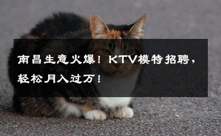 南昌生意火爆！KTV模特招聘，轻松月入过万！