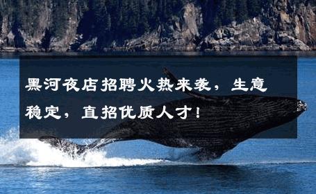 黑河夜店招聘火热来袭，生意稳定，直招优质人才！