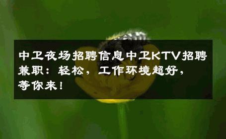 中卫夜场招聘信息中卫KTV招聘兼职：轻松，工作环境超好，等你来！