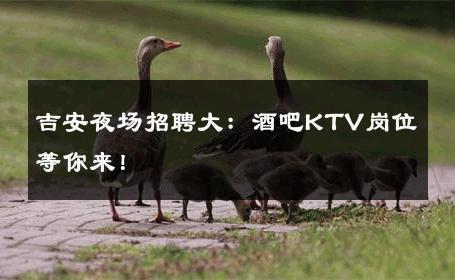 吉安夜场招聘大：酒吧KTV岗位等你来！