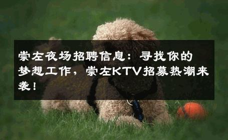 崇左夜场招聘信息：寻找你的梦想工作，崇左KTV招募热潮来袭！
