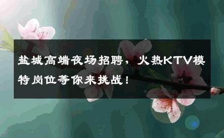 盐城高端夜场招聘，火热KTV模特岗位等你来挑战！