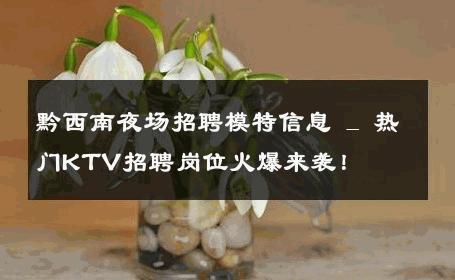 黔西南夜场招聘模特信息 _ 热门KTV招聘岗位火爆来袭！