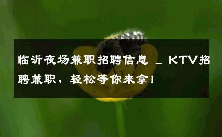 临沂夜场兼职招聘信息 _ KTV招聘兼职，轻松等你来拿！