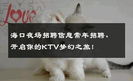 海口夜场招聘信息常年招聘，开启你的KTV梦幻之旅！