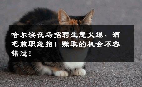 哈尔滨夜场招聘生意火爆，酒吧兼职急招！赚取的机会不容错过！