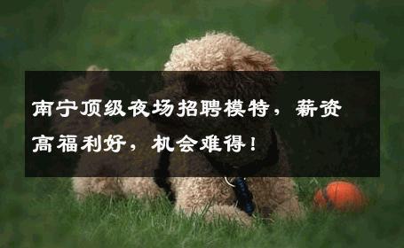 南宁顶级夜场招聘模特，薪资高福利好，机会难得！