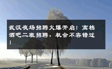 武汉夜场招聘火爆开启！高档酒吧二班招聘，机会不容错过！