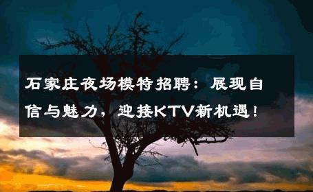 石家庄夜场模特招聘：展现自信与魅力，迎接KTV新机遇！