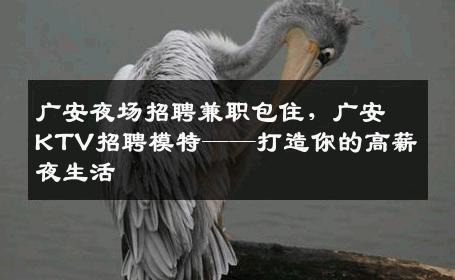 广安夜场招聘兼职包住，广安KTV招聘模特——打造你的高薪夜生活