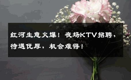 红河生意火爆！夜场KTV招聘，待遇优厚，机会难得！