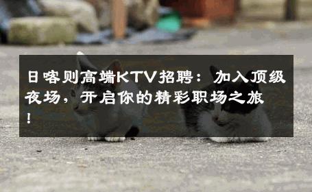 日喀则高端KTV招聘：加入顶级夜场，开启你的精彩职场之旅！