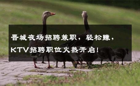 晋城夜场招聘兼职，轻松赚，KTV招聘职位火热开启！