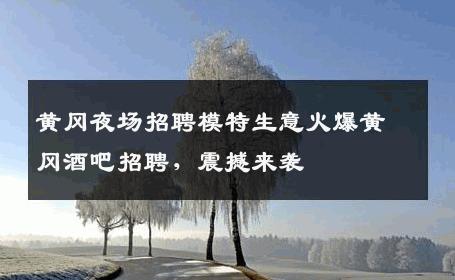 黄冈夜场招聘模特生意火爆黄冈酒吧招聘，震撼来袭