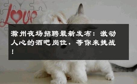 滁州夜场招聘最新发布：激动人心的酒吧岗位，等你来挑战！