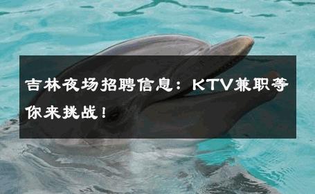 吉林夜场招聘信息：KTV兼职等你来挑战！