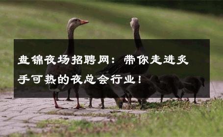 盘锦夜场招聘网：带你走进炙手可热的夜总会行业！