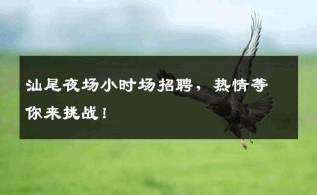 汕尾夜场小时场招聘，热情等你来挑战！