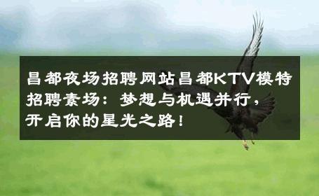 昌都夜场招聘网站昌都KTV模特招聘素场：梦想与机遇并行，开启你的星光之路！