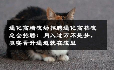 通化高端夜场招聘通化高档夜总会招聘：月入过万不是梦，真实晋升通道就在这里