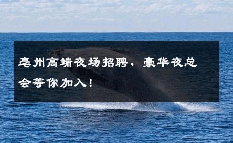 亳州高端夜场招聘，豪华夜总会等你加入！