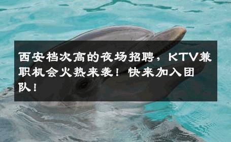 西安档次高的夜场招聘，KTV兼职机会火热来袭！快来加入团队！